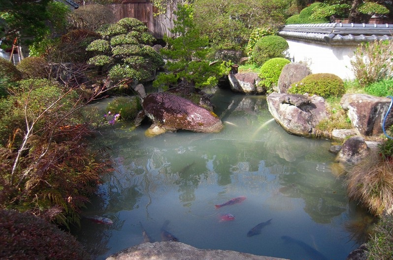 f:id:boianuf:20131117144753j:image