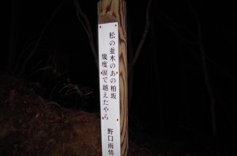 f:id:boianuf:20131120131856j:image