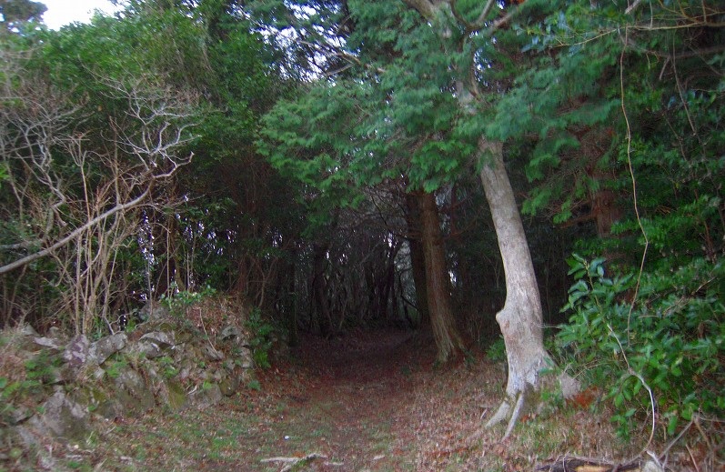 f:id:boianuf:20131120132021j:image