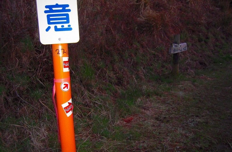 f:id:boianuf:20131120132027j:image