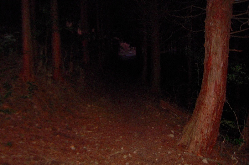 f:id:boianuf:20131120132029j:image