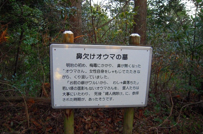 f:id:boianuf:20131120132444j:image