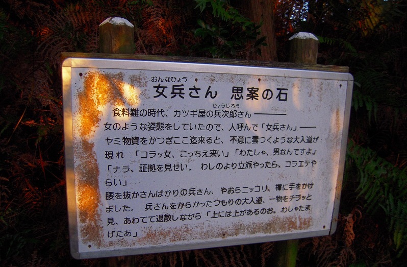 f:id:boianuf:20131120132446j:image