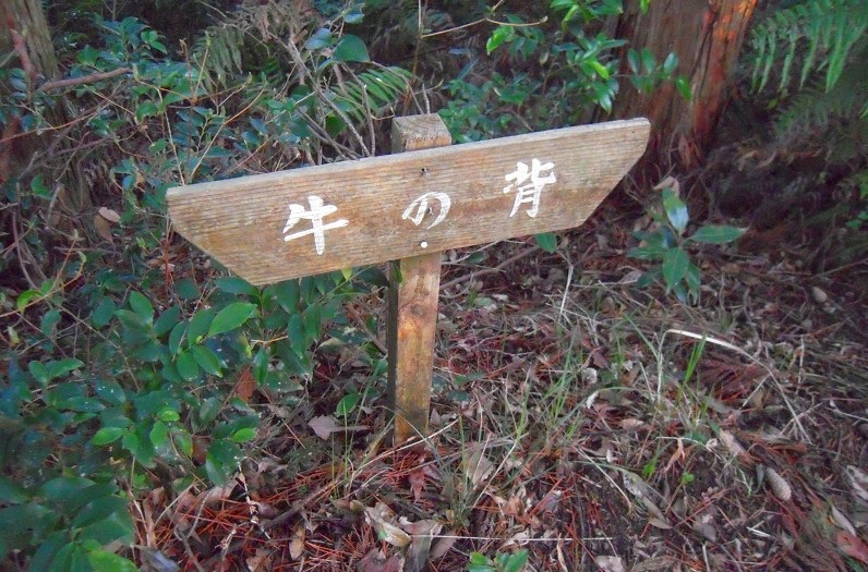 f:id:boianuf:20131120132448j:image