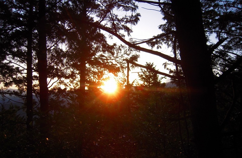 f:id:boianuf:20131120132449j:image