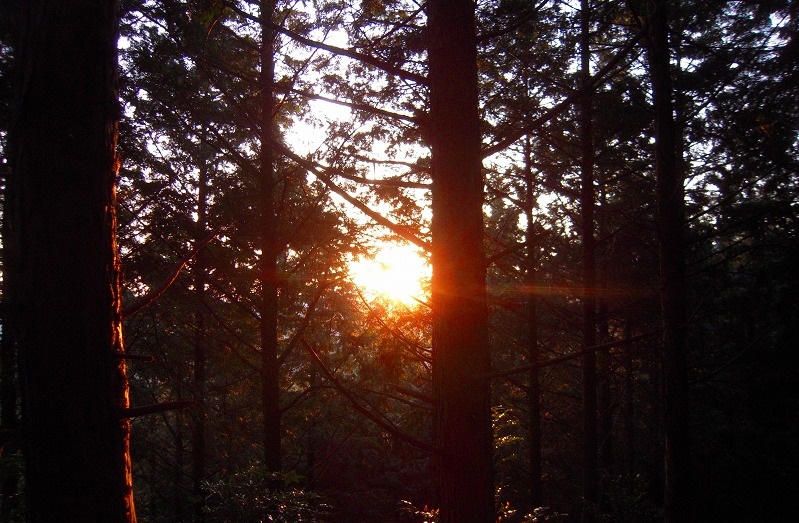 f:id:boianuf:20131120132451j:image