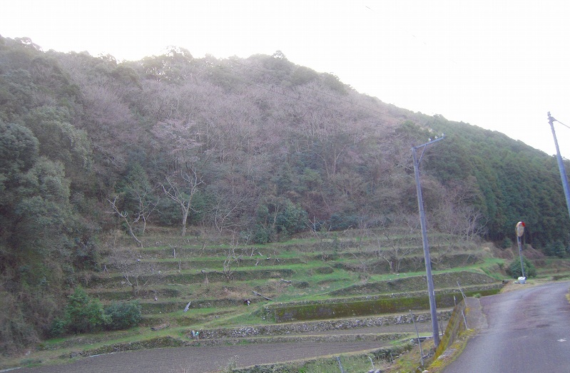 f:id:boianuf:20131120132740j:image