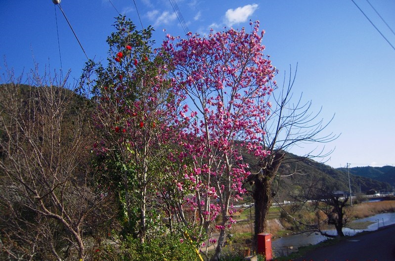 f:id:boianuf:20131120132953j:image