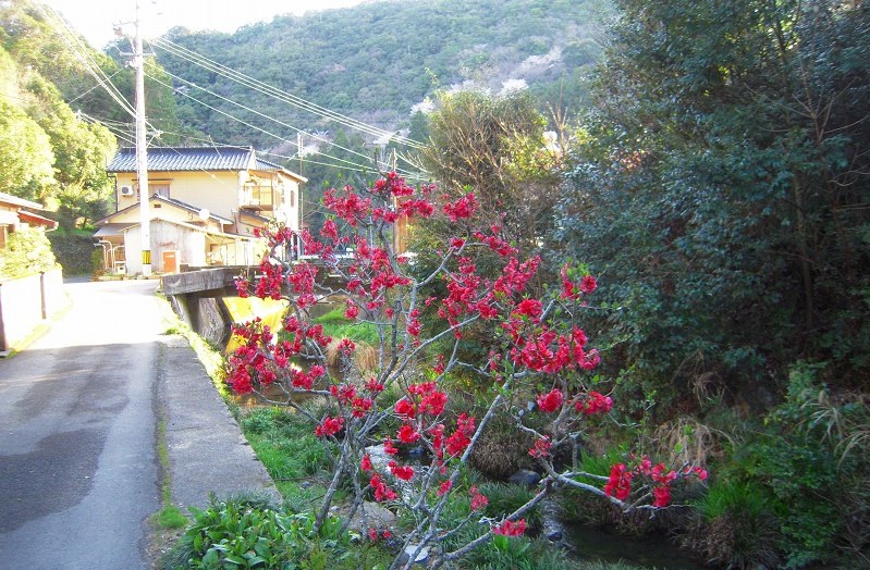 f:id:boianuf:20131120132955j:image
