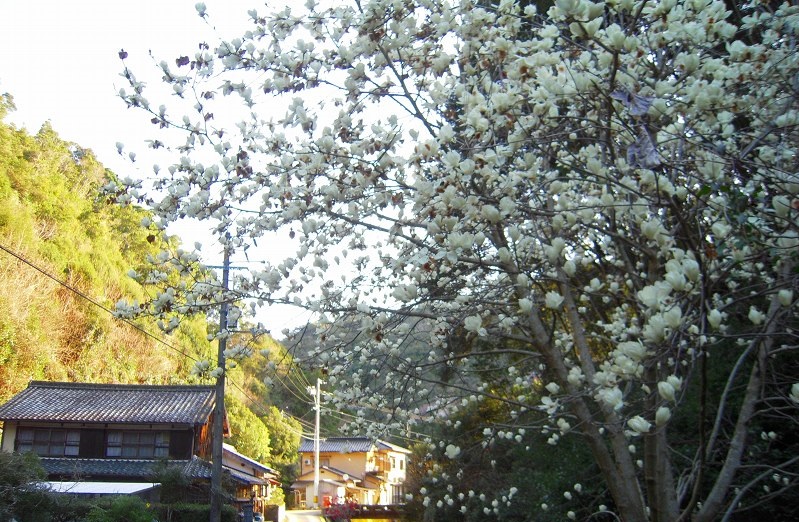 f:id:boianuf:20131120132958j:image