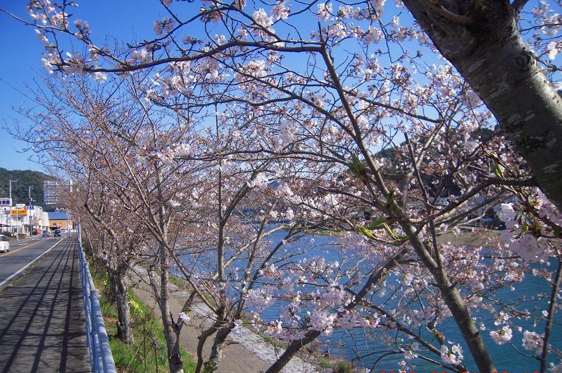 f:id:boianuf:20131120133139j:image