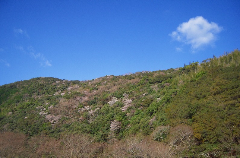 f:id:boianuf:20131120133141j:image