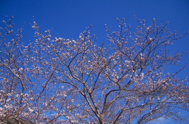 f:id:boianuf:20131120133143j:image