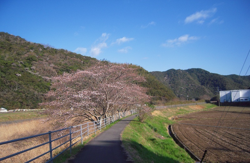 f:id:boianuf:20131120133144j:image