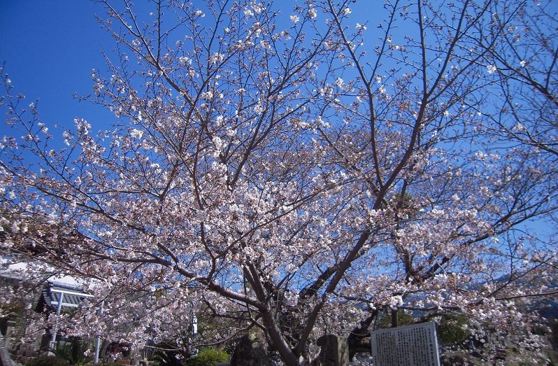 f:id:boianuf:20131120133402j:image