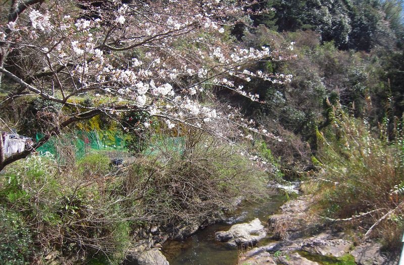 f:id:boianuf:20131120133612j:image