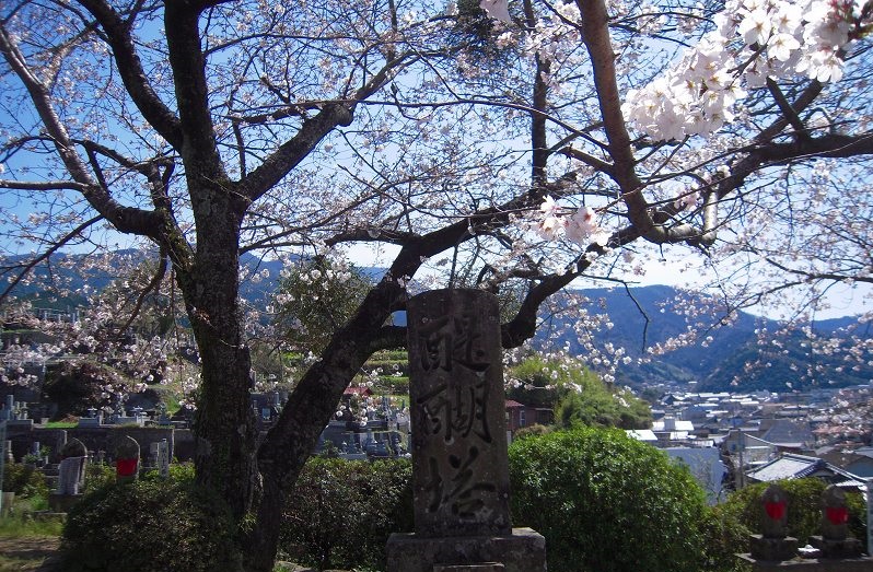 f:id:boianuf:20131120133618j:image