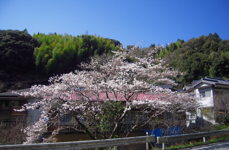 f:id:boianuf:20131120133911j:image