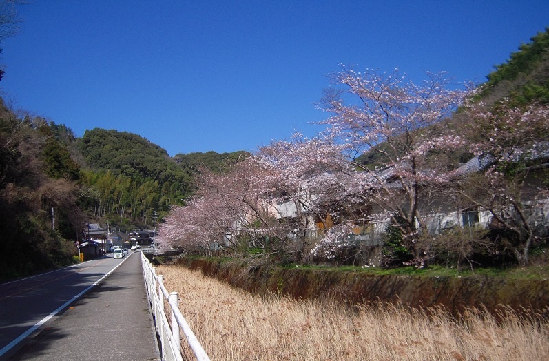 f:id:boianuf:20131120133912j:image