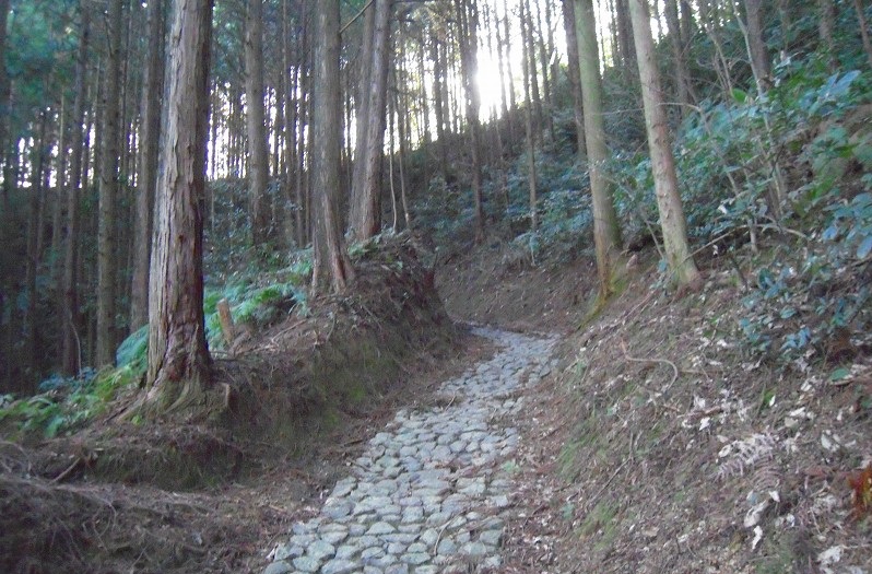 f:id:boianuf:20131122165310j:image f:id:boianuf:20131122165310j:image