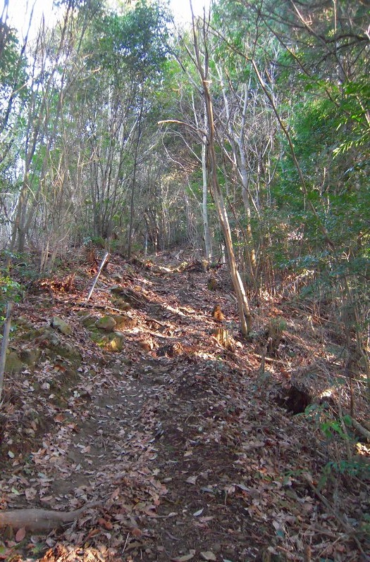 f:id:boianuf:20131122165620j:image f:id:boianuf:20131122165620j:image