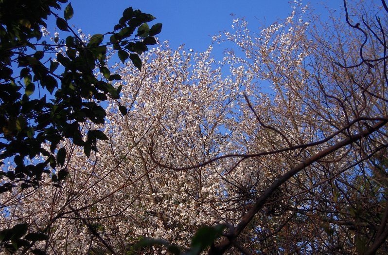 f:id:boianuf:20131122165622j:image f:id:boianuf:20131122165622j:image