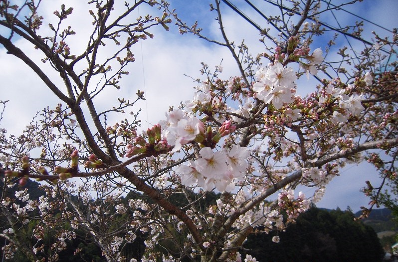 f:id:boianuf:20131122170110j:image f:id:boianuf:20131122170110j:image