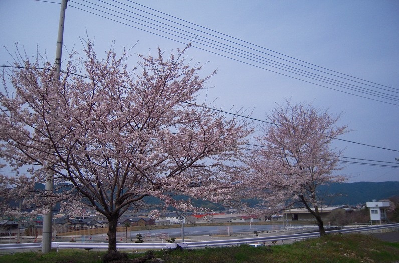 f:id:boianuf:20131122170919j:image f:id:boianuf:20131122170919j:image