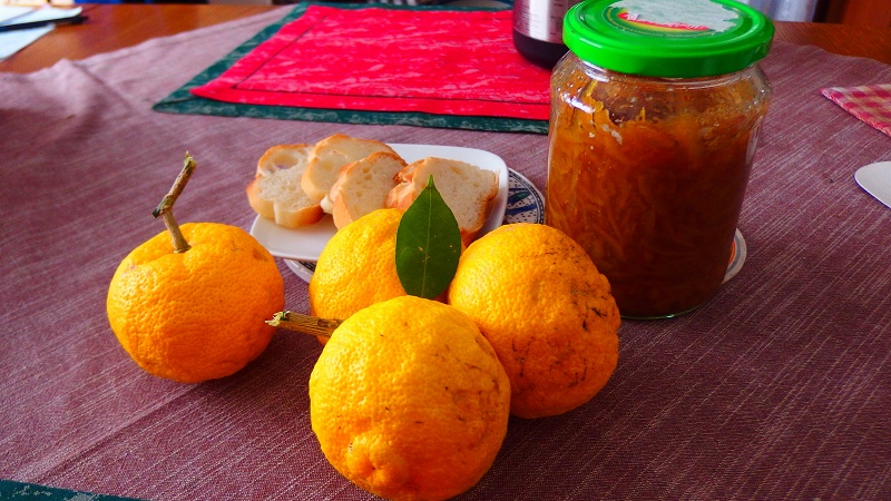 f:id:boianuf:20131130125307j:image