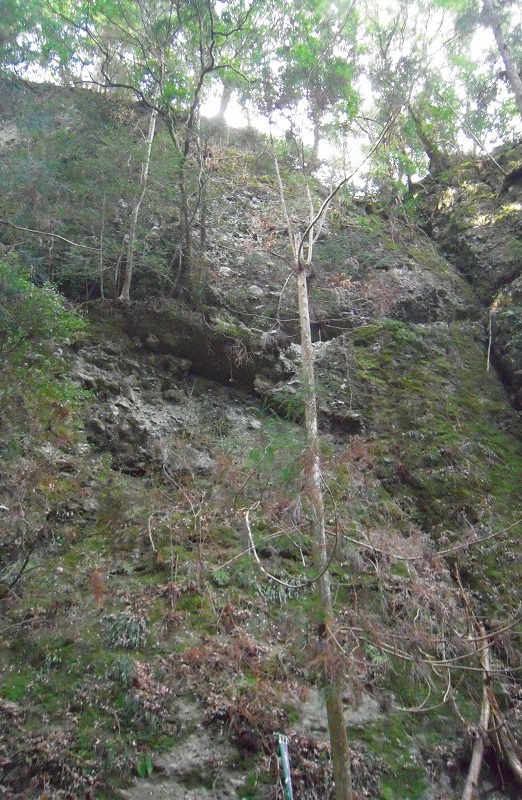 f:id:boianuf:20131130150943j:image