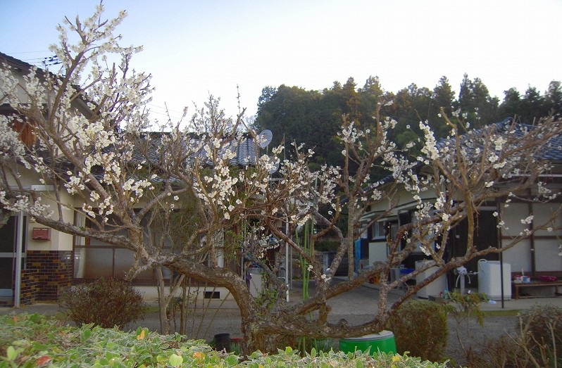 f:id:boianuf:20131202155920j:image f:id:boianuf:20131202155920j:image