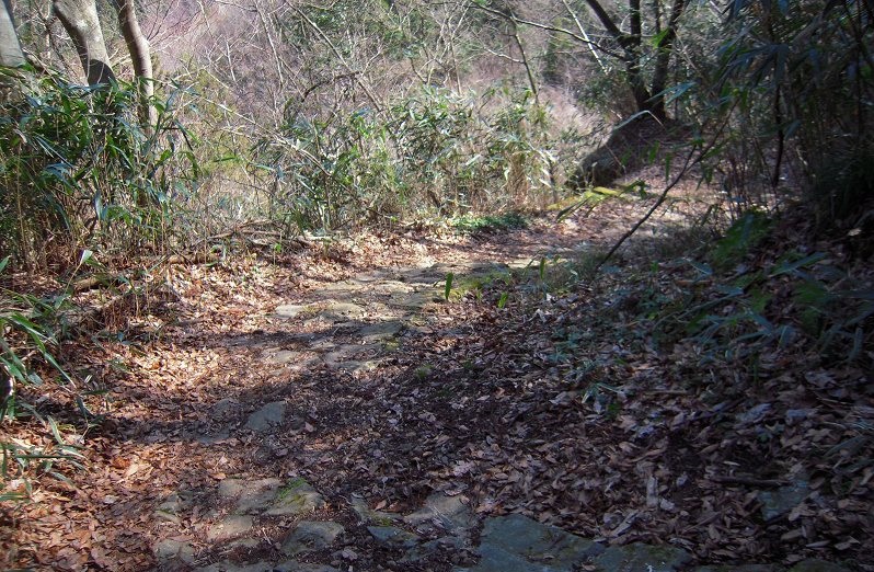 f:id:boianuf:20131202160732j:image f:id:boianuf:20131202160732j:image