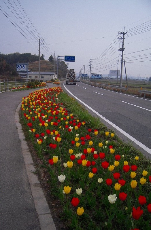 f:id:boianuf:20131206103441j:image