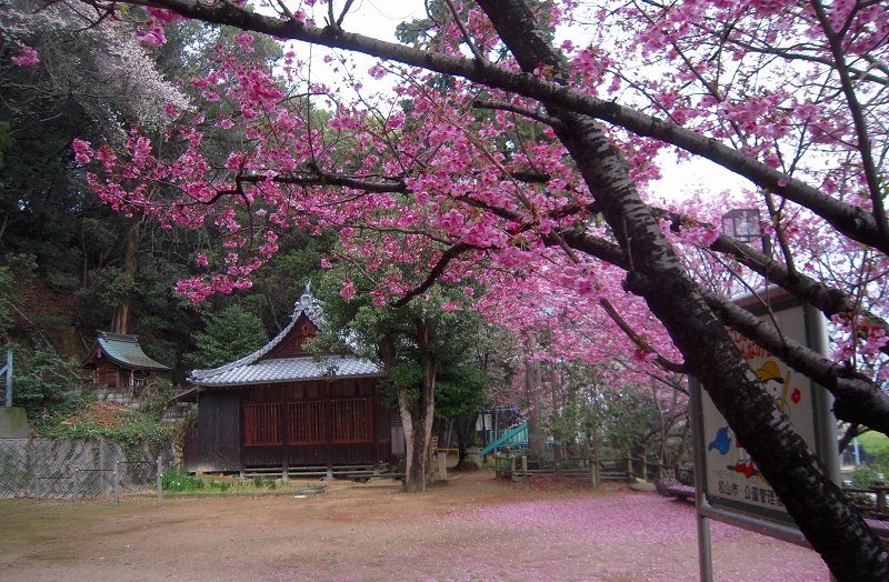 f:id:boianuf:20131210100444j:image f:id:boianuf:20131210100444j:image