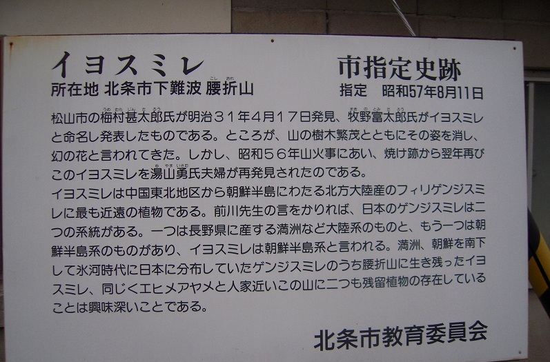 f:id:boianuf:20131211141410j:image