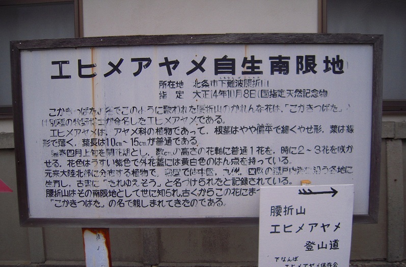 f:id:boianuf:20131211141412j:image