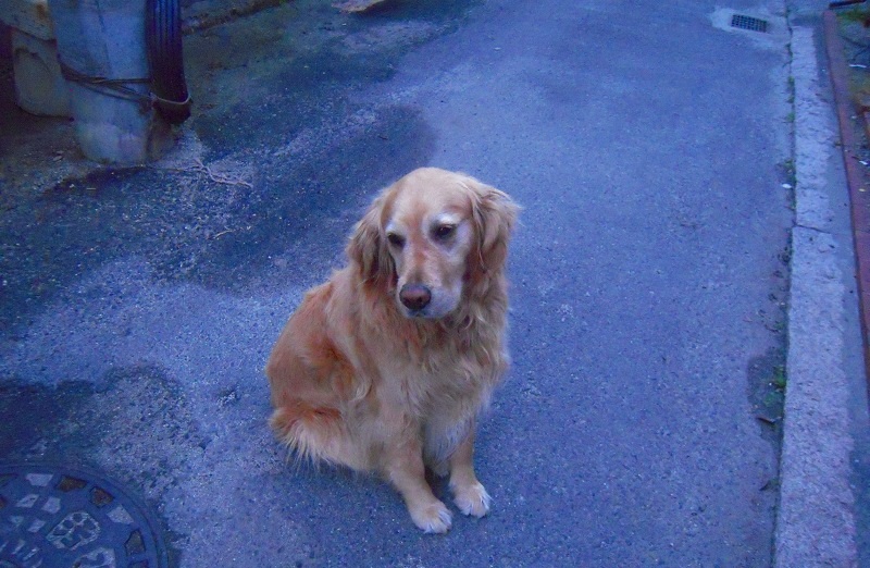 f:id:boianuf:20131211141419j:image