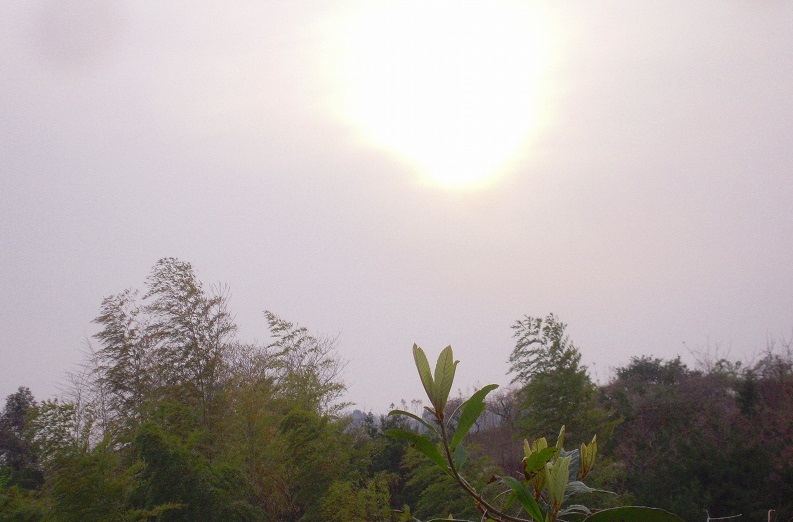 f:id:boianuf:20131211141739j:image