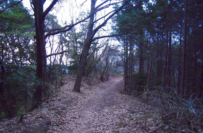 f:id:boianuf:20131213103207j:image
