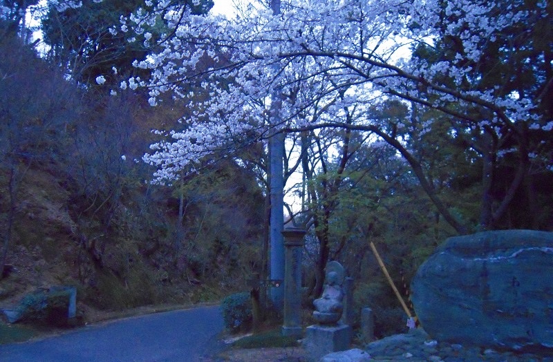 f:id:boianuf:20131213103213j:image