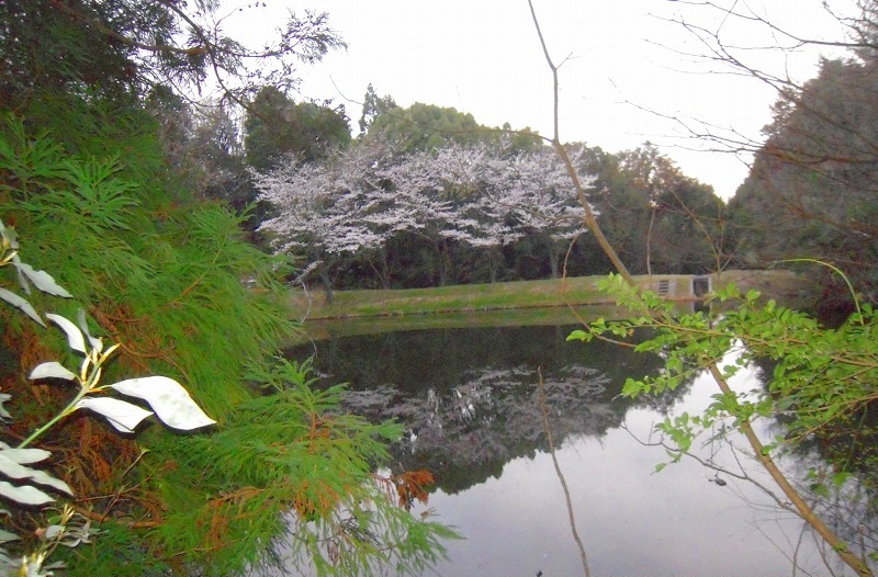 f:id:boianuf:20131213103542j:image