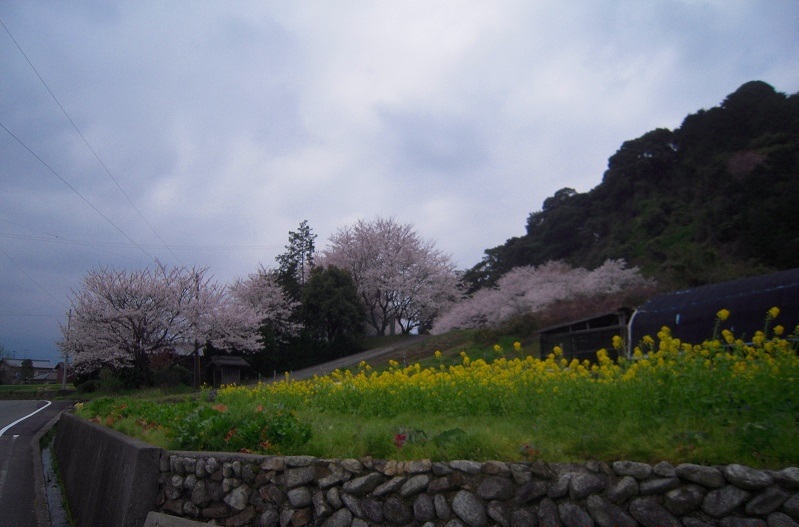 f:id:boianuf:20131213105254j:image f:id:boianuf:20131213105254j:image