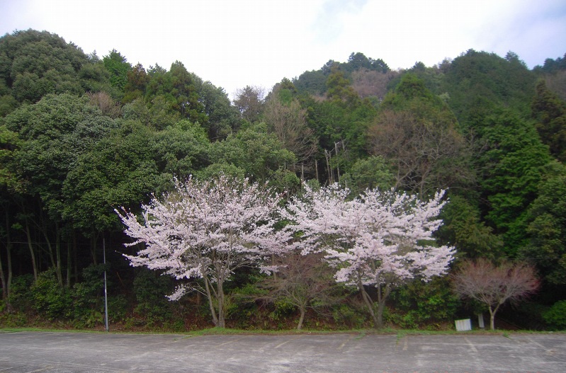 f:id:boianuf:20131213105628j:image f:id:boianuf:20131213105628j:image