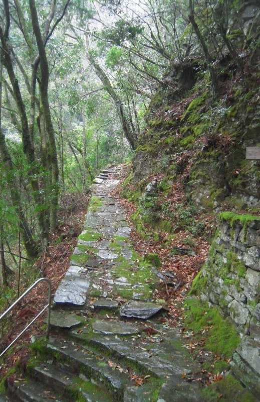 f:id:boianuf:20131216162310j:image f:id:boianuf:20131216162310j:image