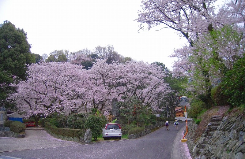 f:id:boianuf:20131220084342j:image f:id:boianuf:20131220084342j:image