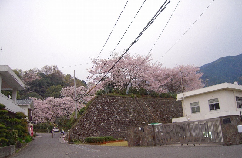 f:id:boianuf:20131220084343j:image f:id:boianuf:20131220084343j:image