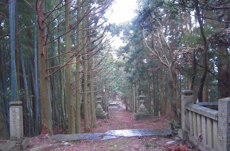 f:id:boianuf:20131220085333j:image f:id:boianuf:20131220085333j:image