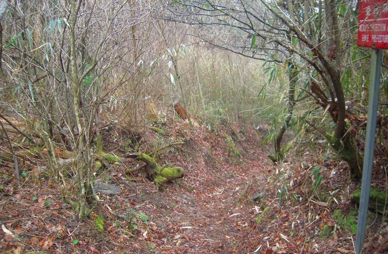 f:id:boianuf:20131220085335j:image f:id:boianuf:20131220085335j:image