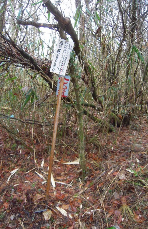 f:id:boianuf:20131220085336j:image f:id:boianuf:20131220085336j:image