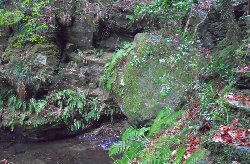 f:id:boianuf:20131220085729j:image f:id:boianuf:20131220085729j:image